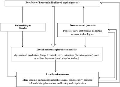 Determinants of rural household livelihood dependence on non-timber forest products: A case study from Inanda Community, KwaZulu-Natal, South Africa